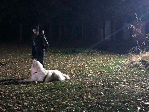 Die Bella mit ihrer kleinen Menschenschwester auf dem Trainingsplatz