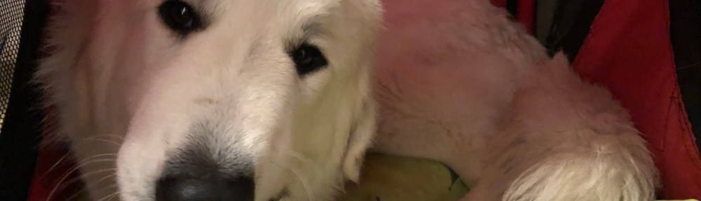 … in meinem kleinen roten Ferienhäuschen