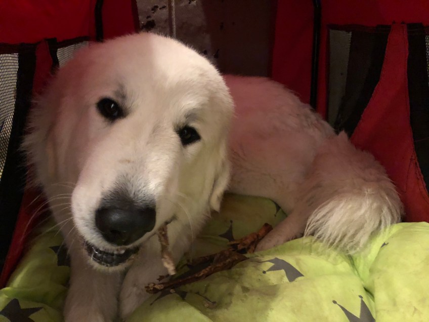 … in meinem kleinen roten Ferienhäuschen