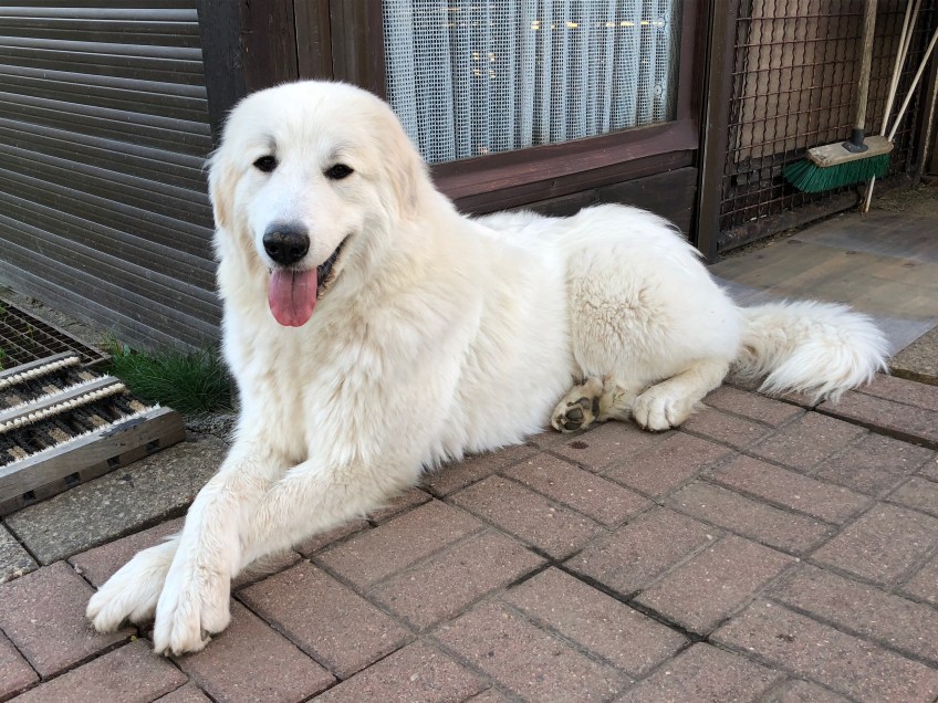 … vom Ehrenberger Hof