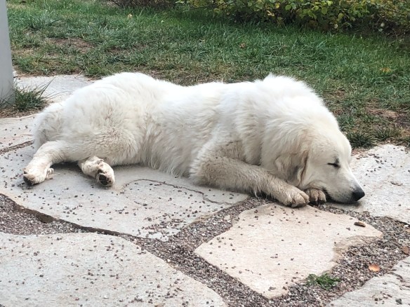 Pyriprinzessinnenschönheitsschlaf