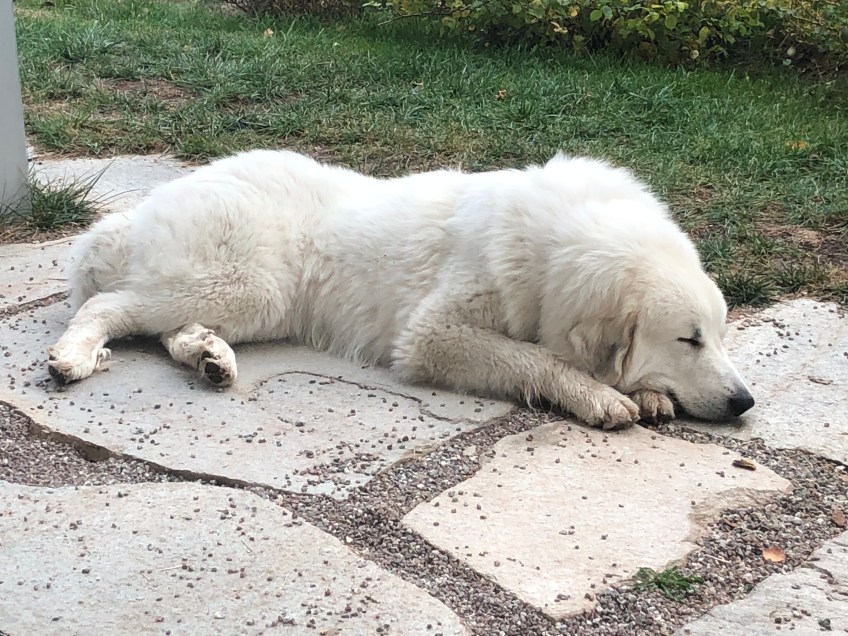 Pyriprinzessinnenschönheitsschlaf