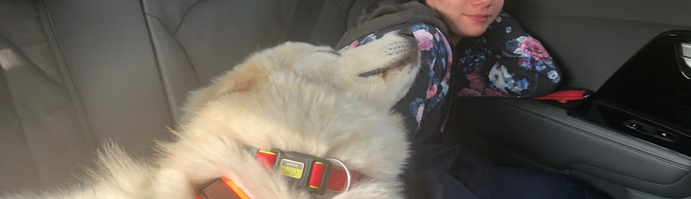 Die Bella und die kleine Menschenschwester schlummern im Auto