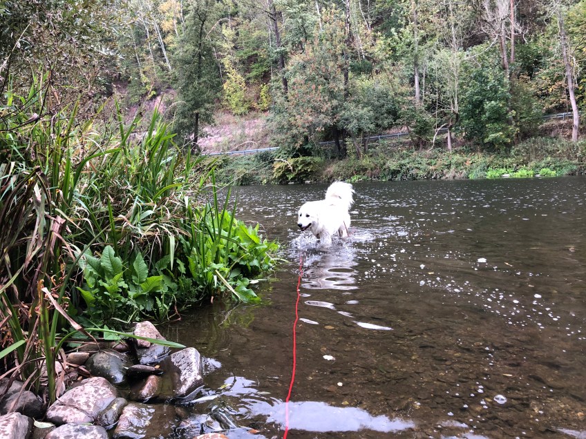 … im großen Fluß