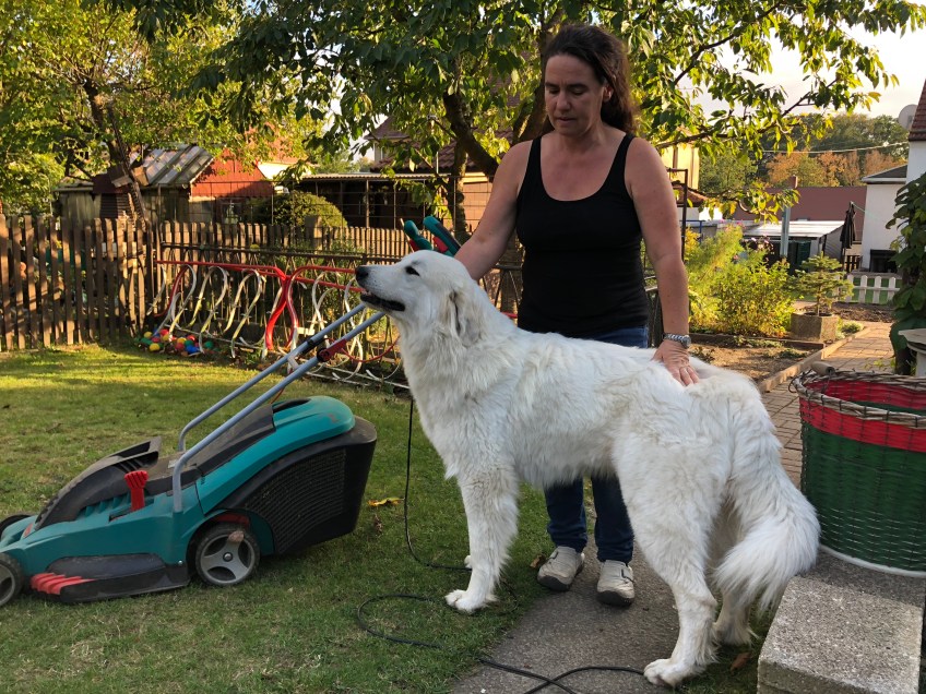 Das bin ich mit meiner großen Menschin – ich bin riesig!