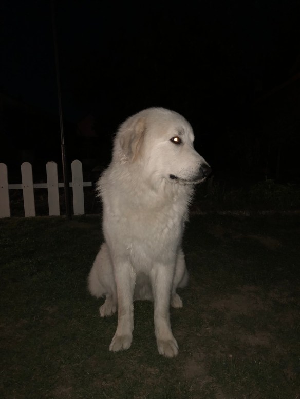 Gleich geht es in die Kellerwohnung