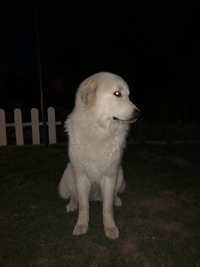 Gleich geht es in die Kellerwohnung