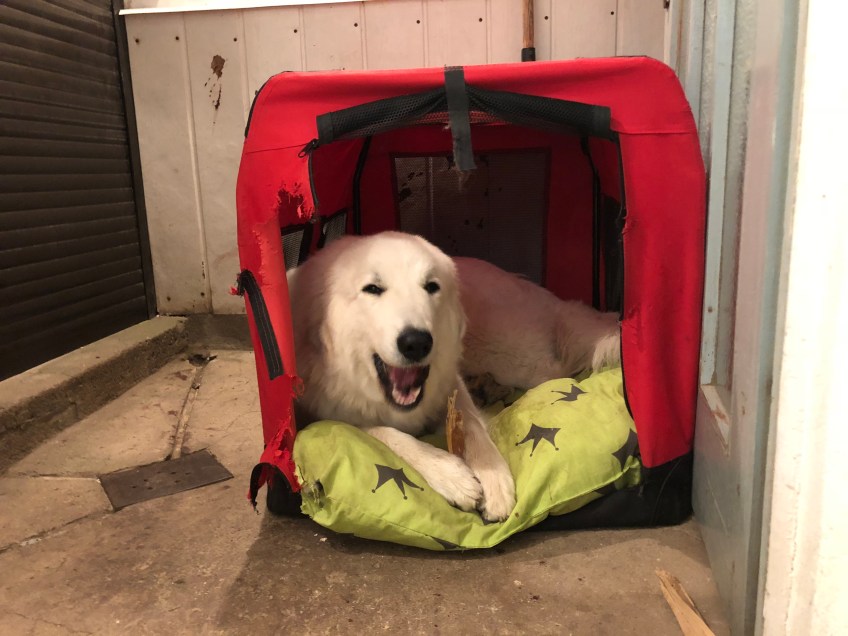 Na, gut geschlummert?