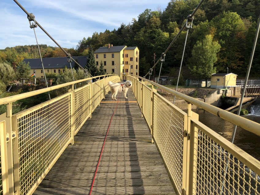 … über die Wackelbrücke, …