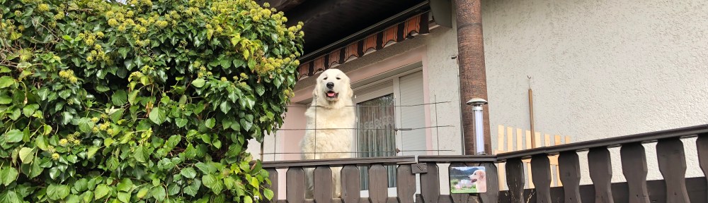Macht mir ja nicht meinen Garten kaputt!