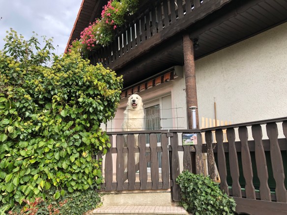 Macht mir ja nicht meinen Garten kaputt!