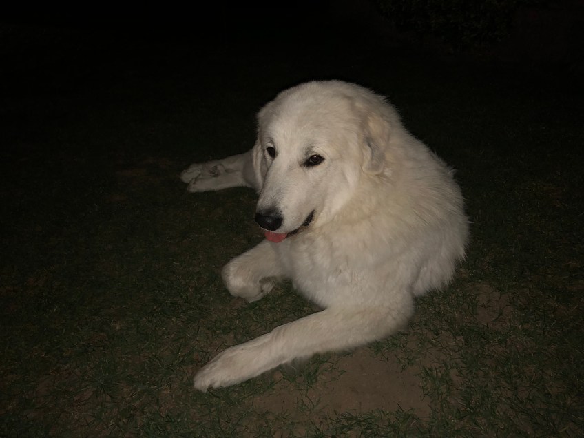 Na los, komm kuscheln!