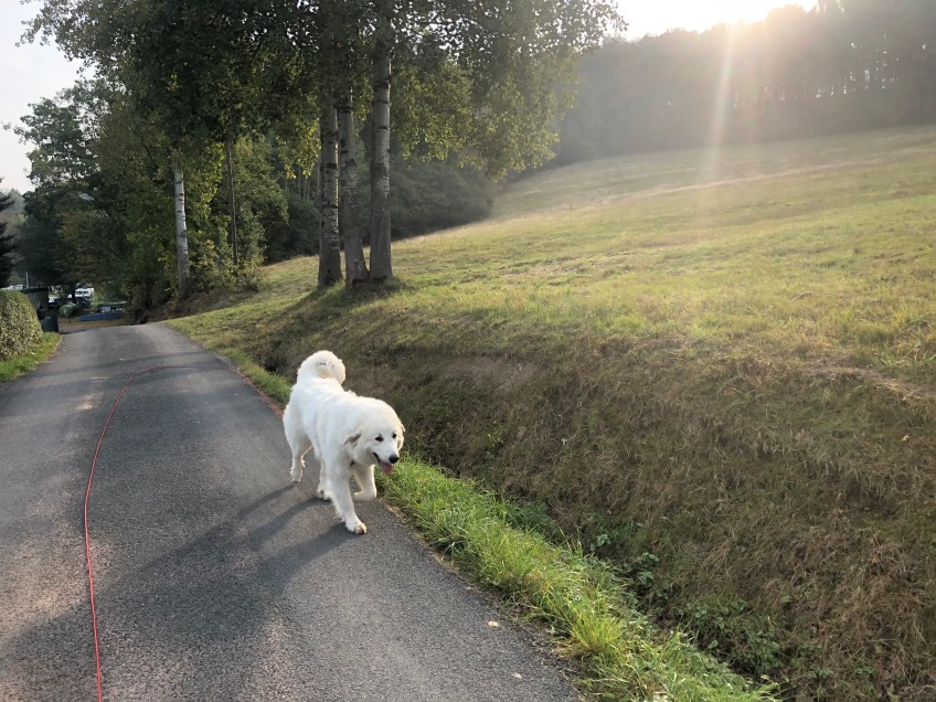 Die Bella geht zum großen Fluß mit dem komischen Namen