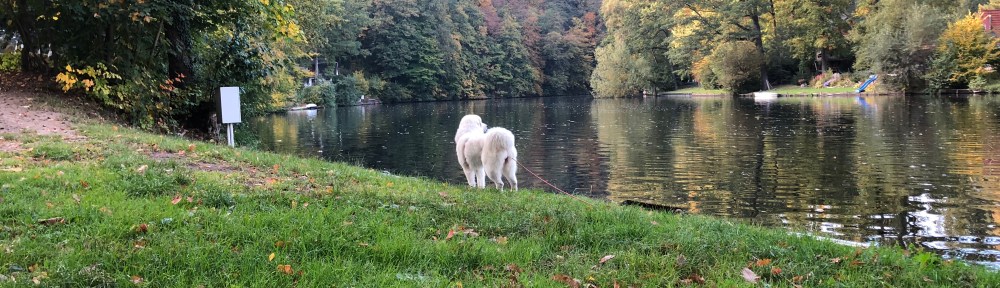 Die Bella am großen Fluß mit dem komischen Namen