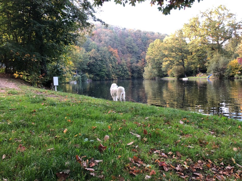 Die Bella am großen Fluß mit dem komischen Namen