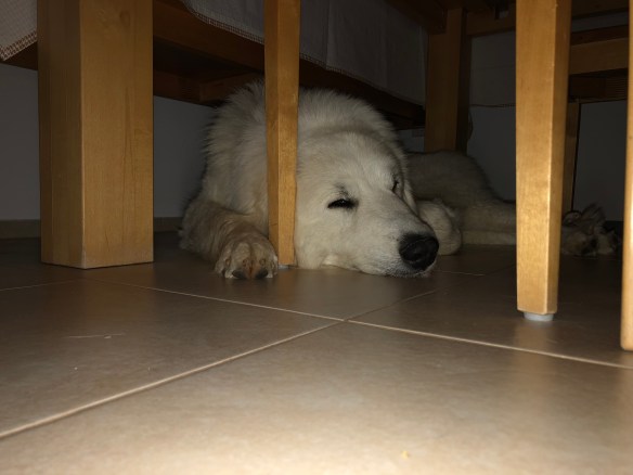 Bin müde, schlaft gut!