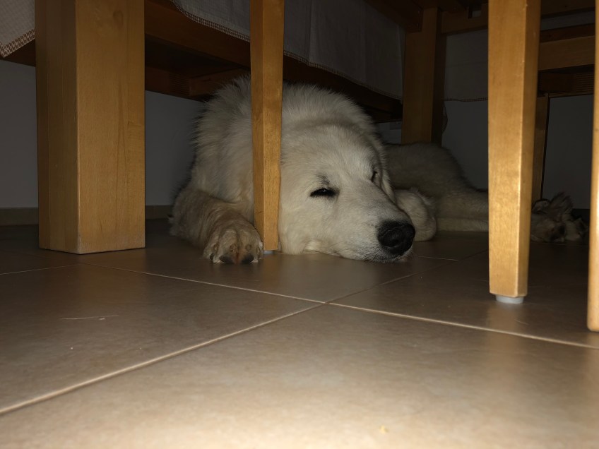 Bin müde, schlaft gut!