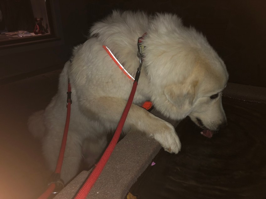 Am Brunnen vor der Pizzeria