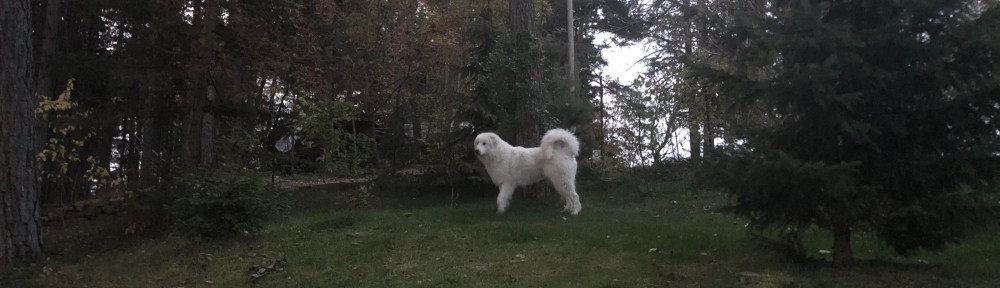 Die Bella in ihrem Urlaubsgarten