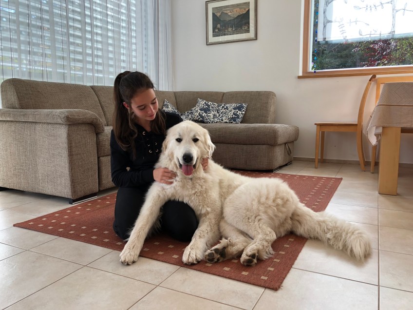 … und in der Ferienwohnung