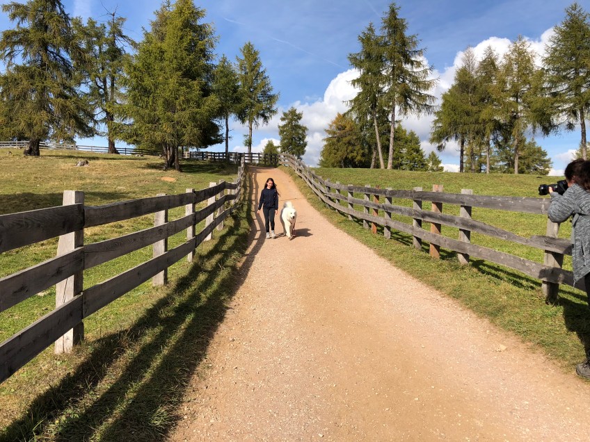 Ich kann auch ganz lieb freileinig laufen
