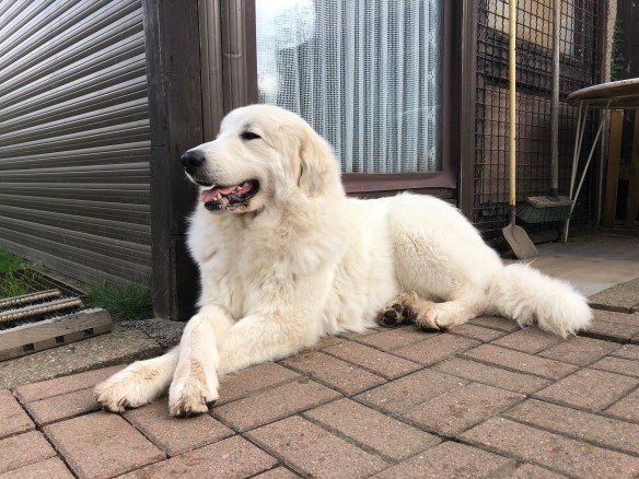 Die Prinzessin ruht sich aus