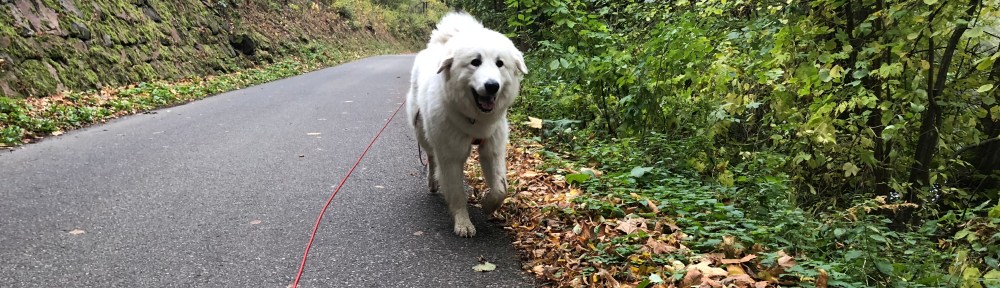 Immer am großen Fluß mit dem komischen Namen entlang