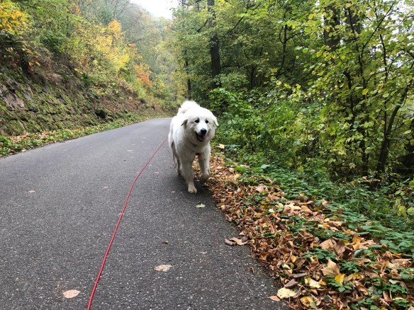Immer am großen Fluß mit dem komischen Namen entlang