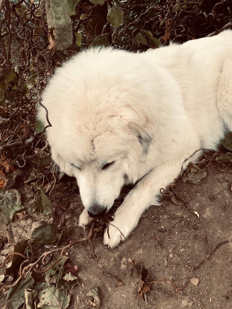… und buddel!