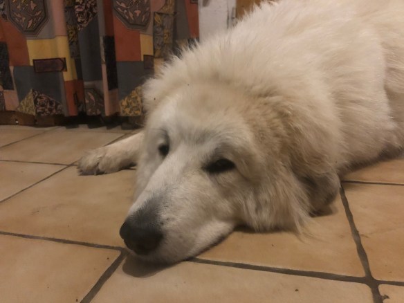 In meiner Kellerwohnung