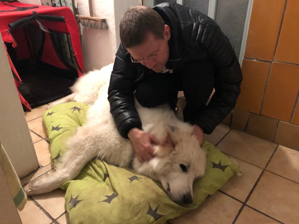 Die Bella und ihr großer Mensch