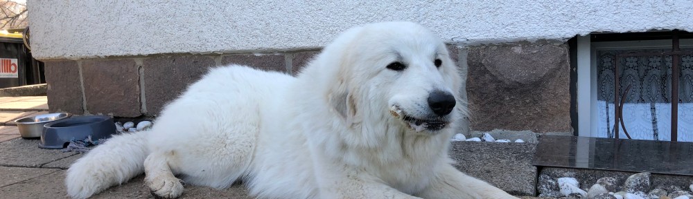 Ausruhen und knabbern