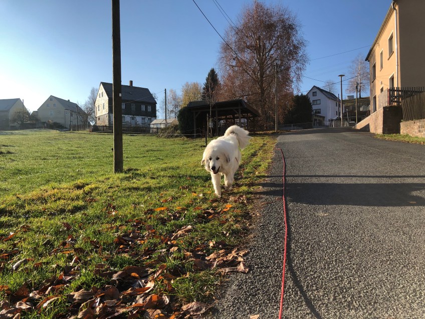 Wochenendspaziergang in Kockisch