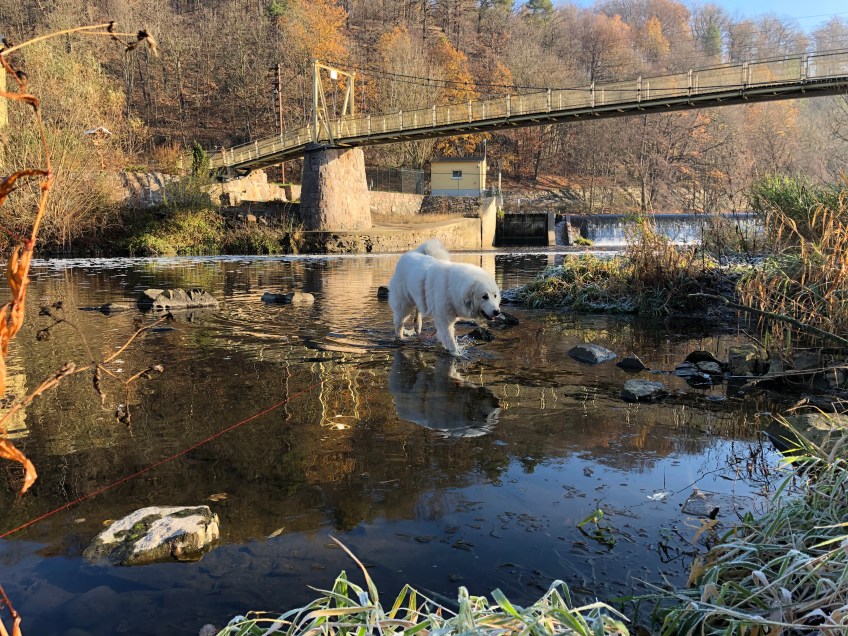 Baden an der Wackelbrücke