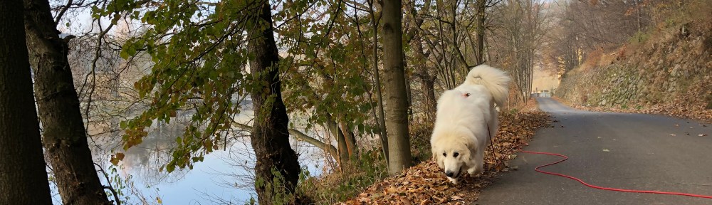 Wir gehen am großen Fluß mit dem komischen Namen bis zum kleinen Wasserfall …