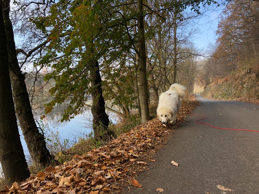 Wir gehen am großen Fluß mit dem komischen Namen bis zum kleinen Wasserfall …