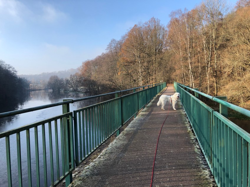 Wir gehen über die große Brücke …