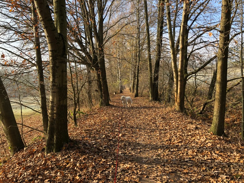 … und den schönen Hebstwanderweg lang …