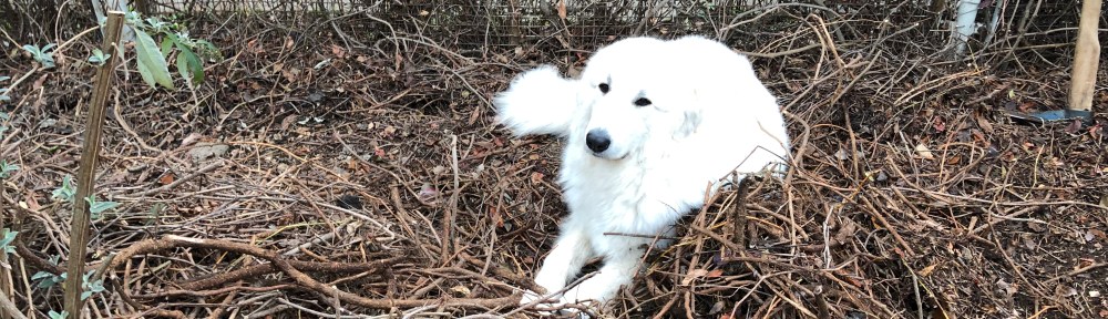 Das ist total gemütlich