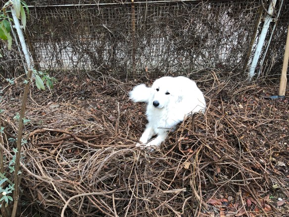 Das ist total gemütlich