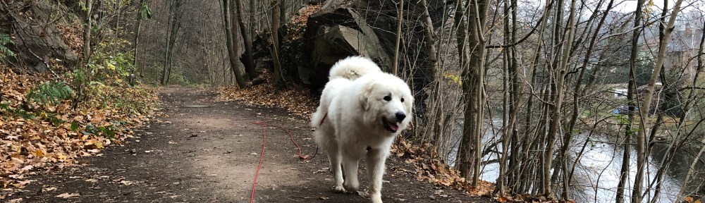 Die Bella auf dem Wanderweg am großen Fluß mit dem komischen Namen
