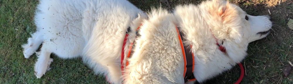 Die Schmusekuschelpyri fühlt sich wohl …