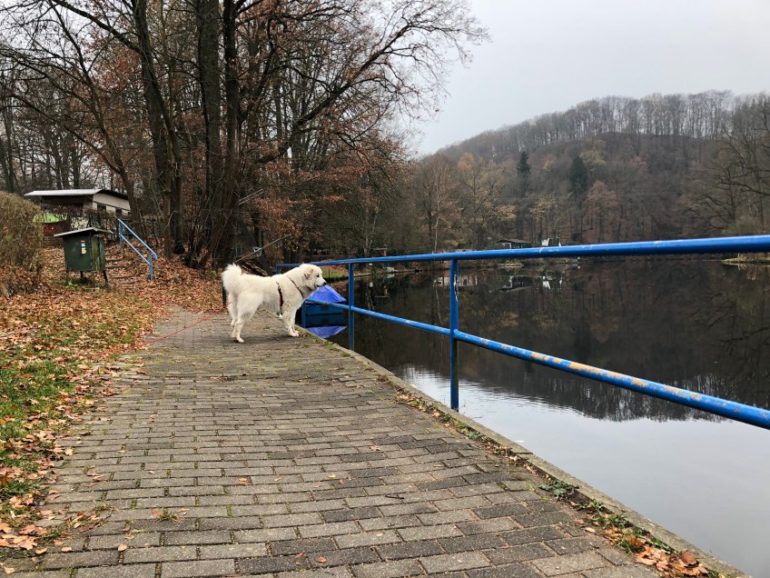 Die Bella am großen Fluß mit dem komischen Namen