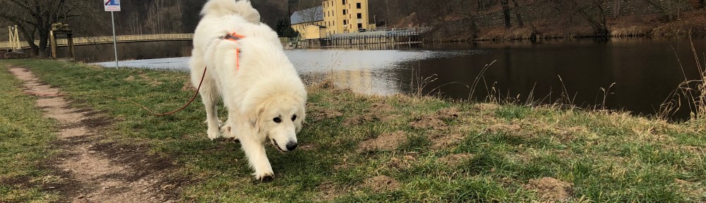 Die Bella wandert am großen Fluß mit dem komischen Namen
