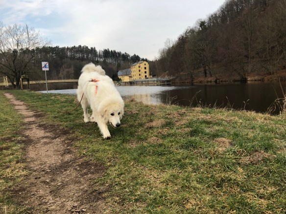Die Bella wandert am großen Fluß mit dem komischen Namen
