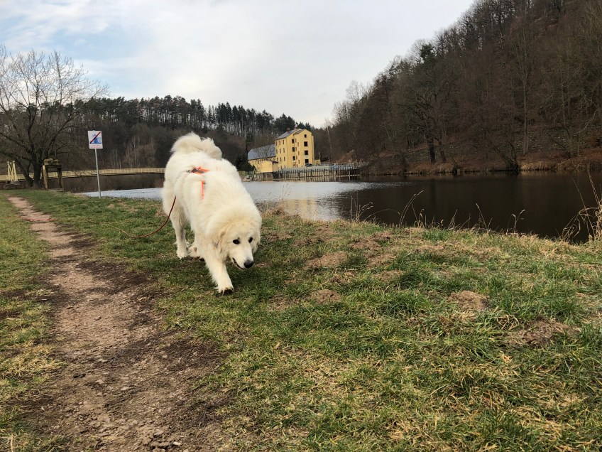 Die Bella wandert am großen Fluß mit dem komischen Namen