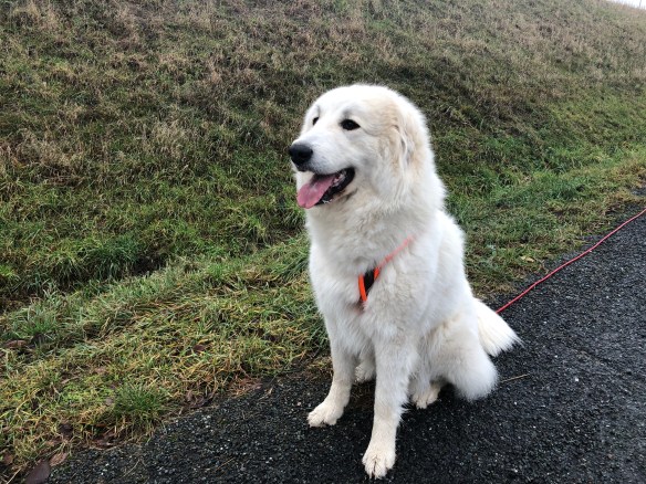 Die liebste Bella von der ganzen weiten Welt