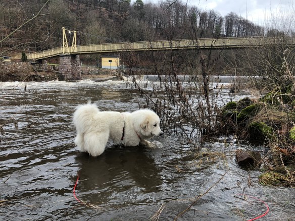 Ganz viel Wasser im großen Fluß mit dem komischen Namen