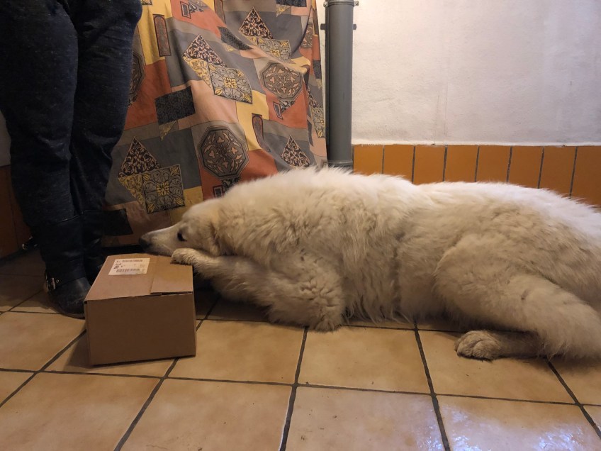 Ich packe mein Weihnachtsgeschenk aus …