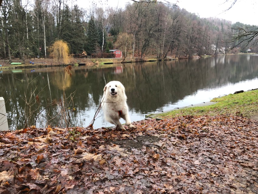 Ich bin ganz schnell!